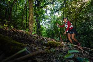 BIB: 
                            <button type="button" onclick="openModal(16010100)" class="btn btn-primary btn-sm float-right btn-popup" data-toggle="modal" data-target=".modal-high-quality">
                        <i class="fas fa-shopping-cart"></i> Add to Cart
                    </button>
                                            <button type="button" onclick="isThisMe(16010100, true)" class="btn btn-success btn-sm float-right btn-popup btn-isme hidden" data-toggle="tooltip" data-placement="bottom" title="นี่คือรูปของคุณใช่ไหม คลิกที่นี่เพื่อเอาเข้าอัลบั้ม">
                        <i class="fas fa-plus"></i> Add to album
                    </button>
                    <button type="button" onclick="isThisMe(16010100, false)" class="btn btn-warning btn-sm float-right btn-popup btn-isnotme hidden">
                        <i class="fas fa-ban"></i> Remove from album
                    </button>